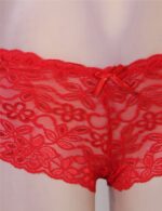 Floral Lace High Waist Sexy Panty by My Secret Drawer® mysecretdrawer.co.uk 75