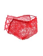 Floral Lace High Waist Sexy Panty by My Secret Drawer® mysecretdrawer.co.uk 76
